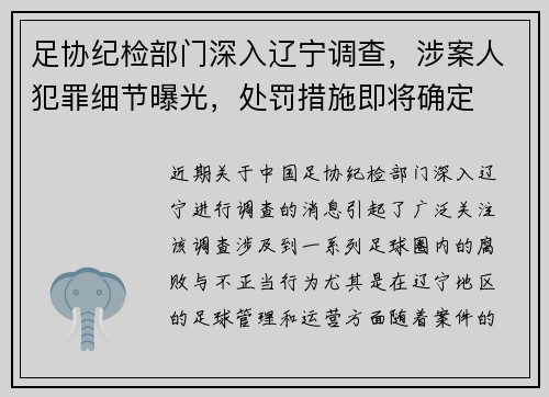 足协纪检部门深入辽宁调查，涉案人犯罪细节曝光，处罚措施即将确定