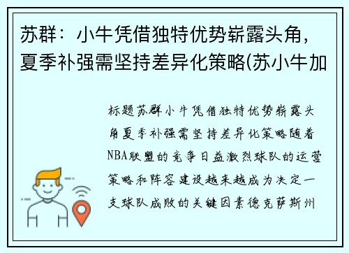 苏群：小牛凭借独特优势崭露头角，夏季补强需坚持差异化策略(苏小牛加盟)